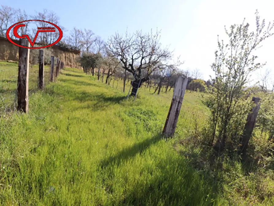 Immagine 9 di Rustico / casale in vendita  in cicogna a Terranuova Bracciolini