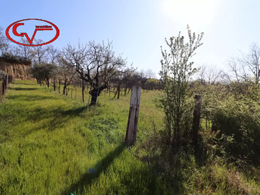 Immagine 10 di Rustico / casale in vendita  in cicogna a Terranuova Bracciolini