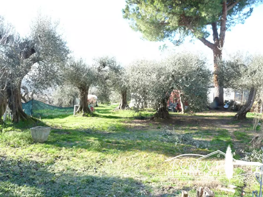 Immagine 12 di Appartamento in vendita  in Casamaggiore a Castiglione Del Lago