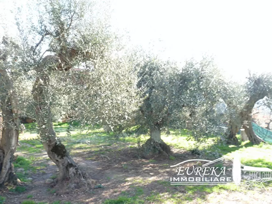 Immagine 13 di Appartamento in vendita  in Casamaggiore a Castiglione Del Lago