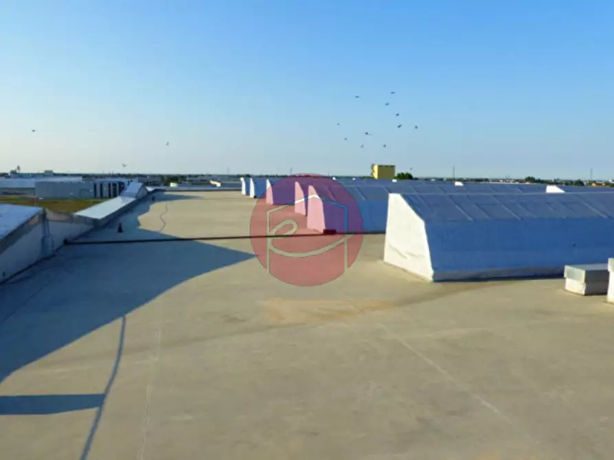 Immagine 10 di Capannone industriale in vendita  a Longiano