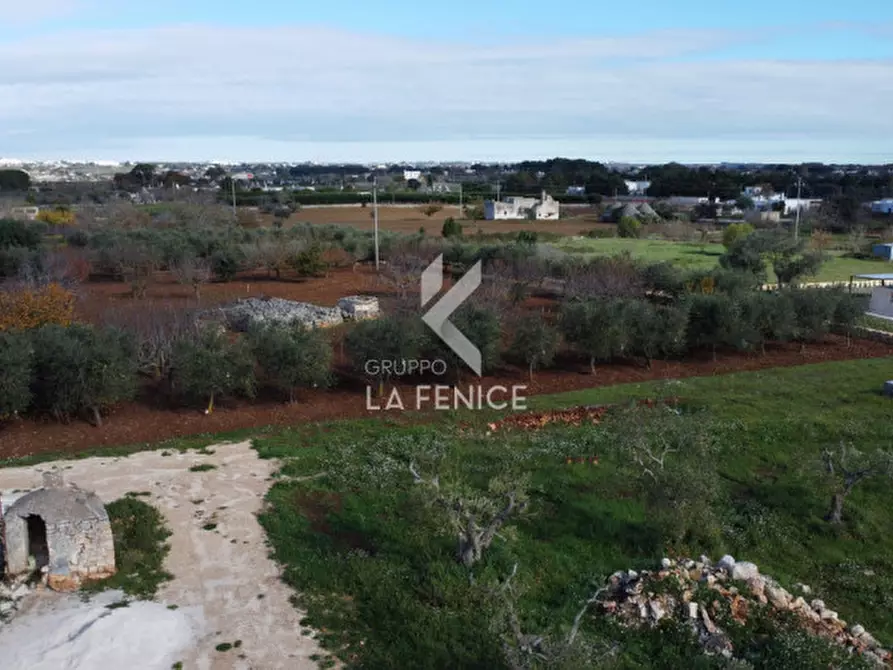 Immagine 8 di Rustico / casale in vendita  in Strada Alberobello a Martina Franca