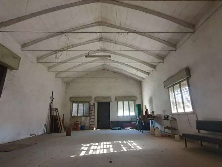 Immagine 2 di Capannone industriale in vendita  in VIA MANTEGNA a Moglia