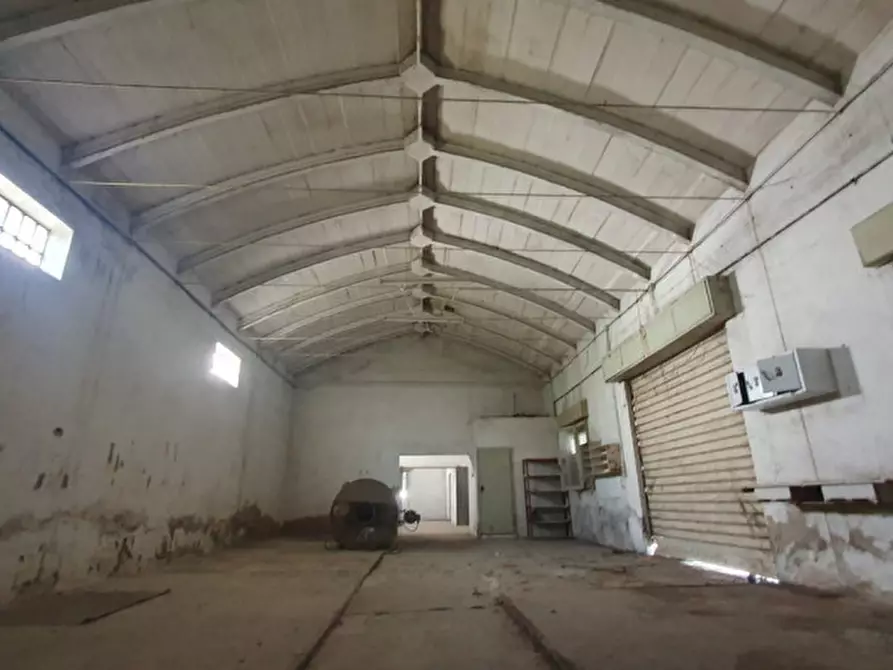 Immagine 4 di Capannone industriale in vendita  in VIA MANTEGNA a Moglia