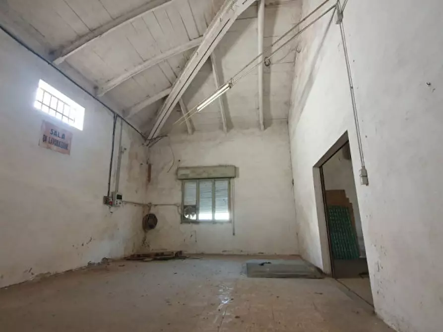 Immagine 5 di Capannone industriale in vendita  in VIA MANTEGNA a Moglia