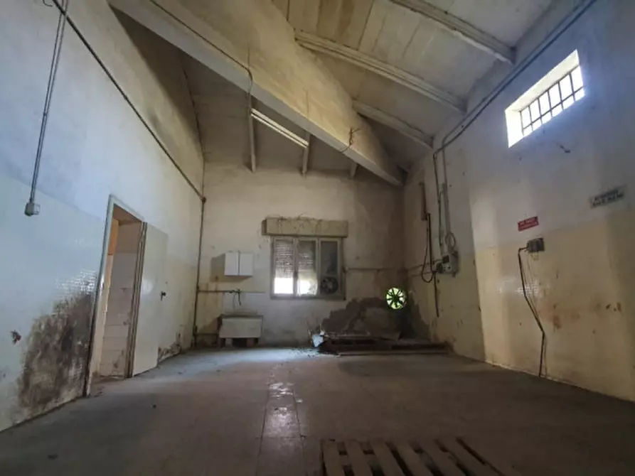 Immagine 7 di Capannone industriale in vendita  in VIA MANTEGNA a Moglia