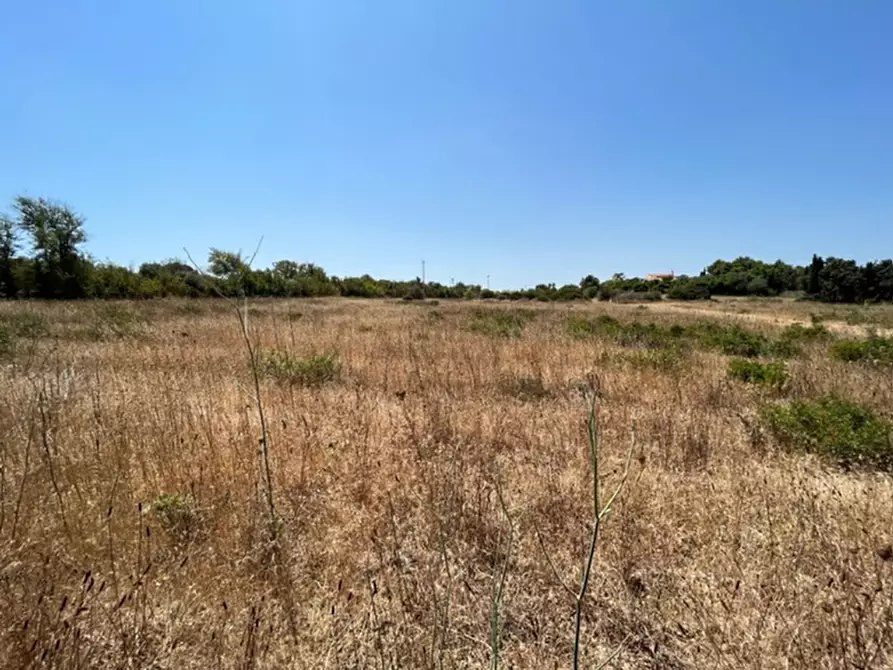 Immagine 1 di Terreno in vendita  in LOCALITA GIAGUMONA a Sassari