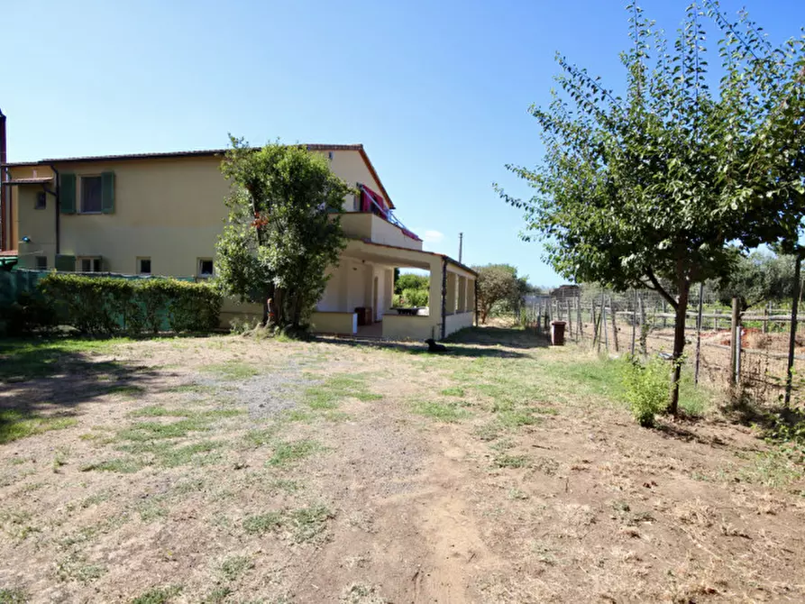 Immagine 1 di Appartamento in vendita  a Castiglione Della Pescaia