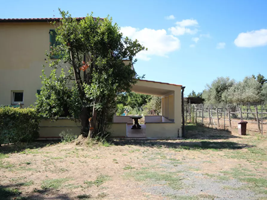 Immagine 2 di Appartamento in vendita  a Castiglione Della Pescaia
