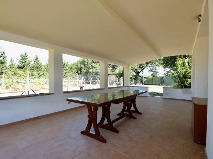 Immagine 5 di Appartamento in vendita  a Castiglione Della Pescaia