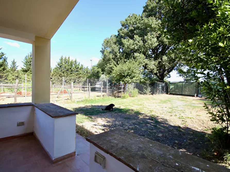 Immagine 6 di Appartamento in vendita  a Castiglione Della Pescaia