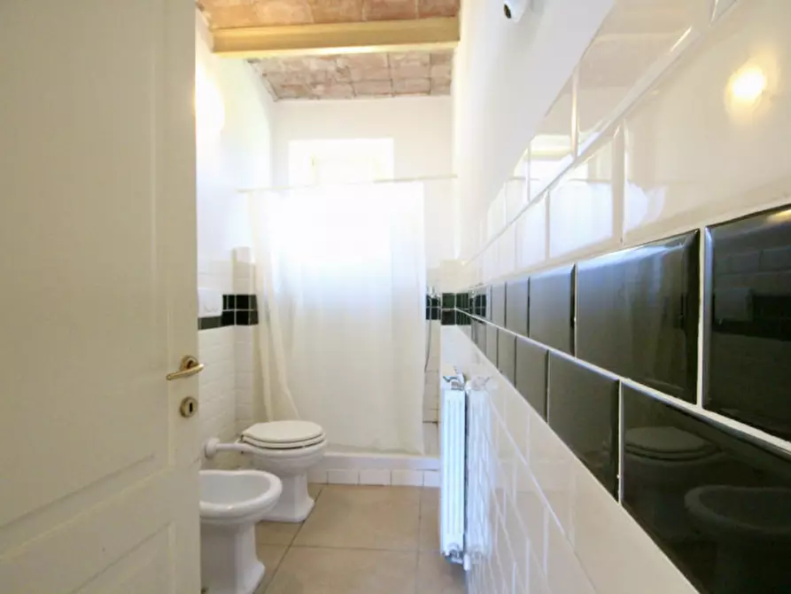 Immagine 11 di Appartamento in vendita  a Castiglione Della Pescaia