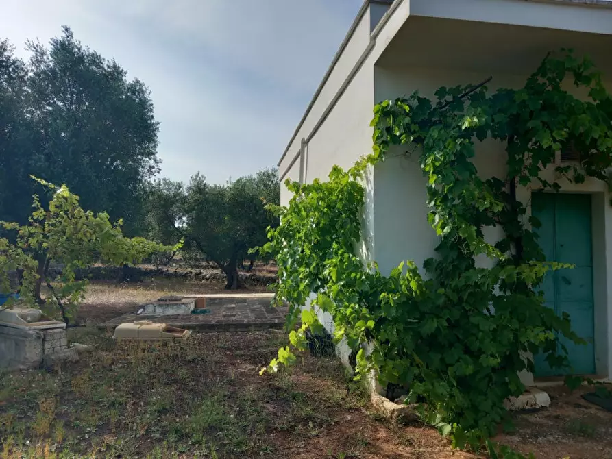 Immagine 2 di Rustico / casale in vendita  in C.da Citrignano a Ostuni