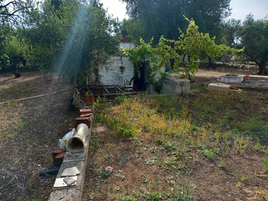 Immagine 3 di Rustico / casale in vendita  in C.da Citrignano a Ostuni