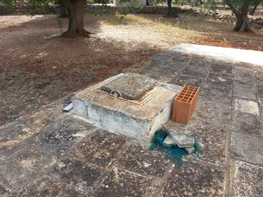 Immagine 4 di Rustico / casale in vendita  in C.da Citrignano a Ostuni