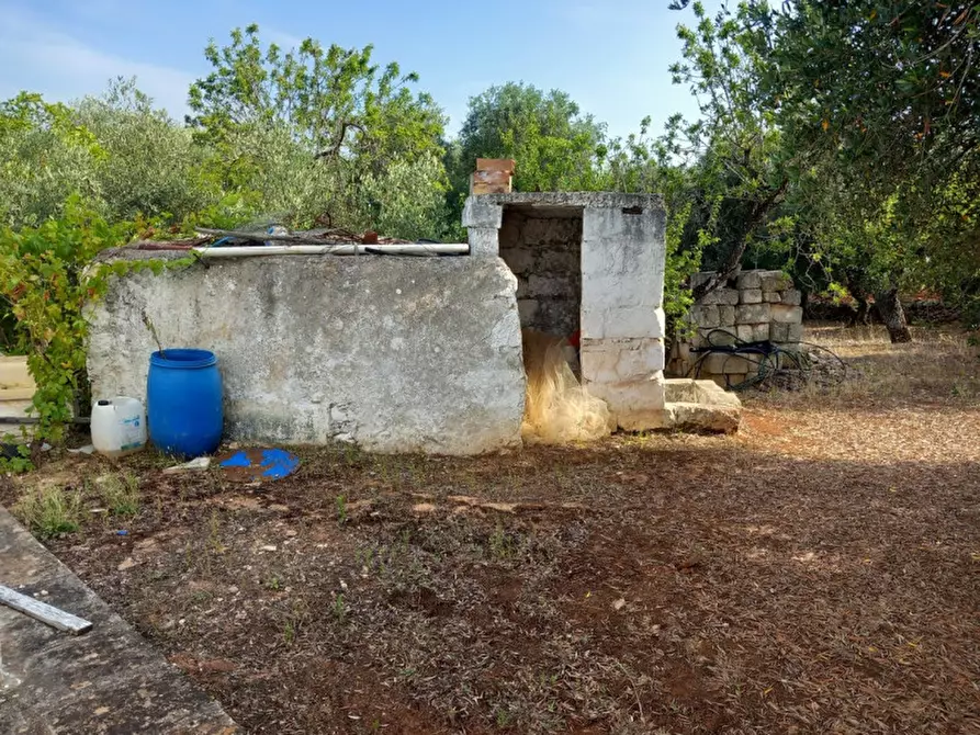 Immagine 5 di Rustico / casale in vendita  in C.da Citrignano a Ostuni