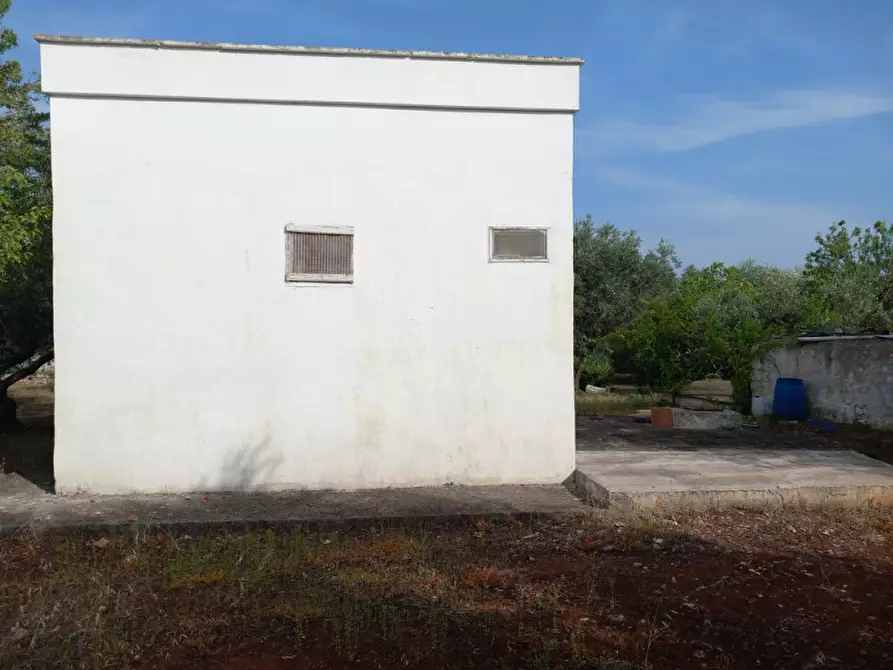 Immagine 7 di Rustico / casale in vendita  in C.da Citrignano a Ostuni