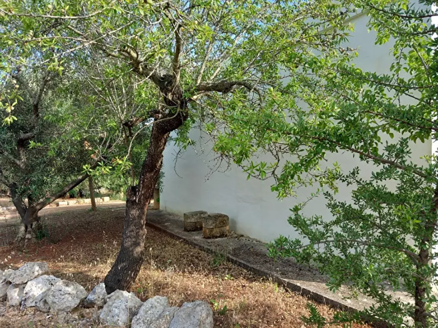 Immagine 8 di Rustico / casale in vendita  in C.da Citrignano a Ostuni