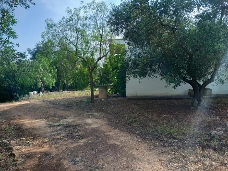 Immagine 9 di Rustico / casale in vendita  in C.da Citrignano a Ostuni