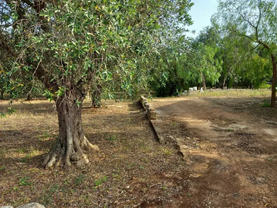 Immagine 11 di Rustico / casale in vendita  in C.da Citrignano a Ostuni