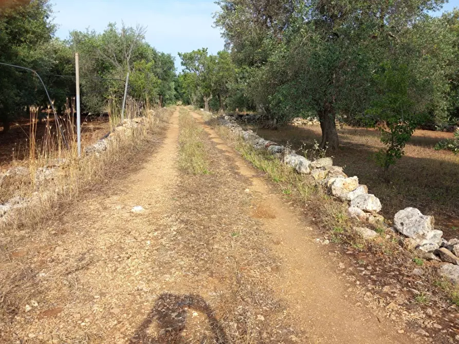 Immagine 12 di Rustico / casale in vendita  in C.da Citrignano a Ostuni