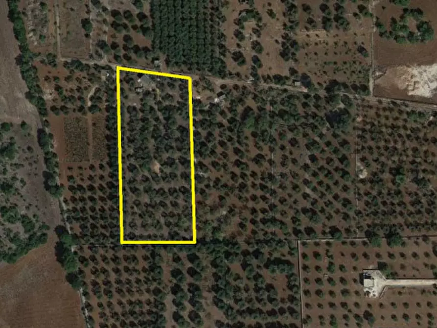 Immagine 22 di Rustico / casale in vendita  in C.da Citrignano a Ostuni