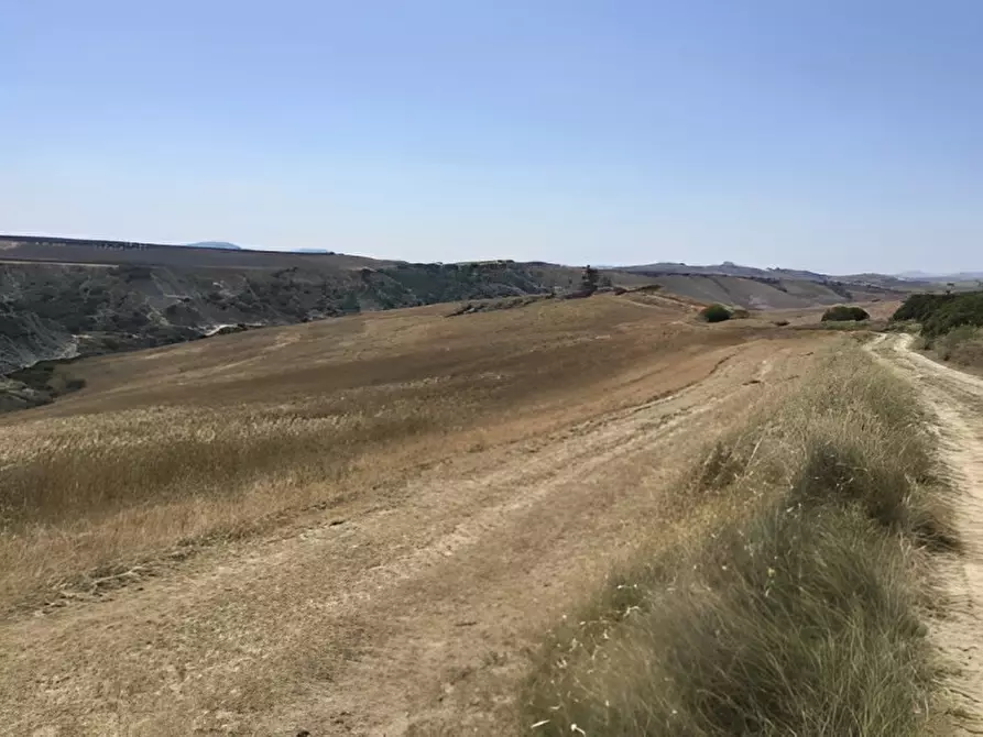 Immagine 4 di Terreno in vendita  in contrada salandrella a Ferrandina