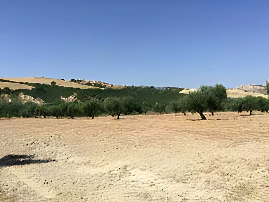 Immagine 5 di Terreno in vendita  in contrada salandrella a Ferrandina