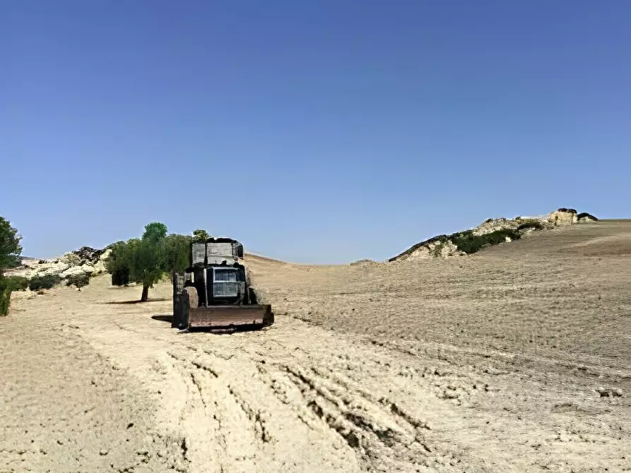 Immagine 10 di Terreno in vendita  in contrada salandrella a Ferrandina