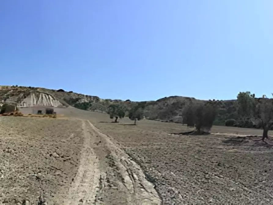 Immagine 12 di Terreno in vendita  in contrada salandrella a Ferrandina