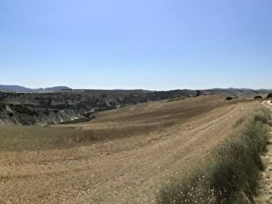 Immagine 15 di Terreno in vendita  in contrada salandrella a Ferrandina
