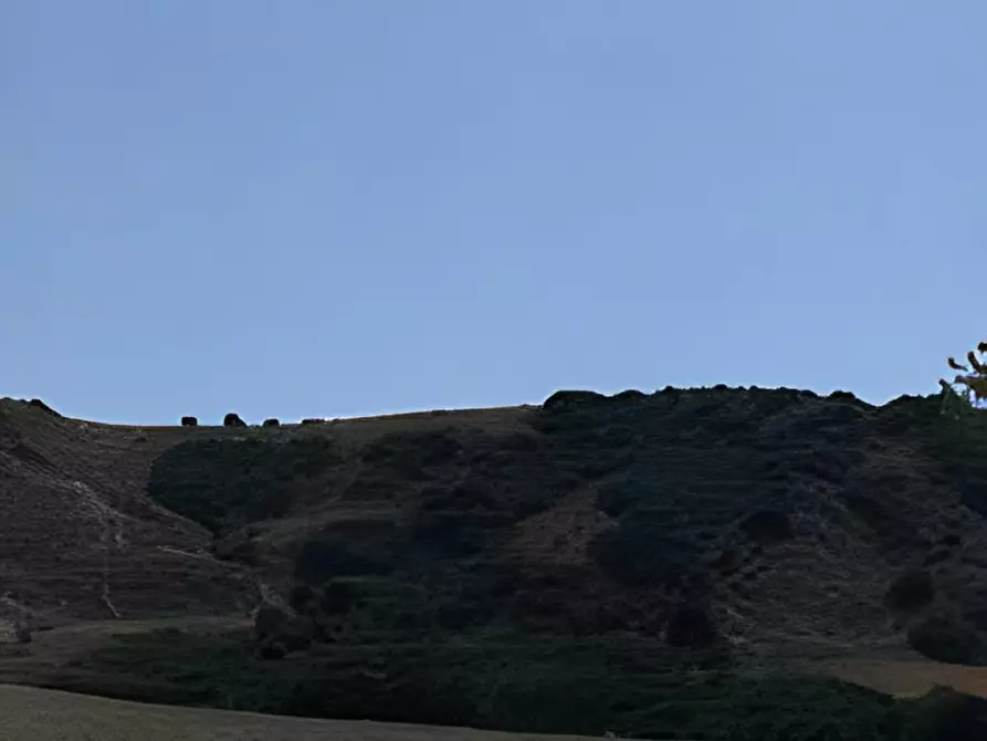 Immagine 18 di Terreno in vendita  in contrada salandrella a Ferrandina