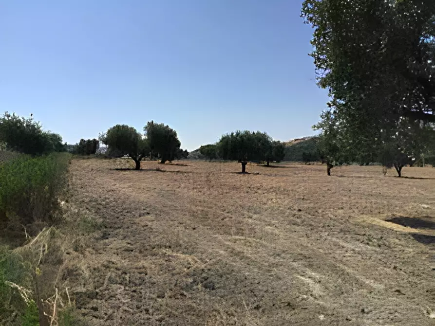 Immagine 23 di Terreno in vendita  in contrada salandrella a Ferrandina
