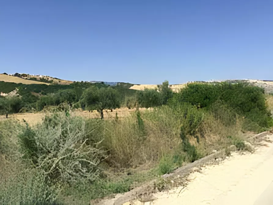 Immagine 25 di Terreno in vendita  in contrada salandrella a Ferrandina