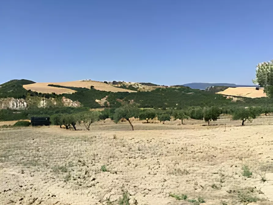 Immagine 32 di Terreno in vendita  in contrada salandrella a Ferrandina