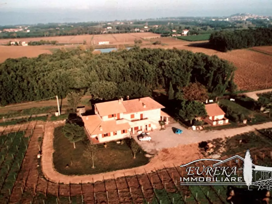 Immagine 2 di Terreno in vendita  a Castiglione Del Lago