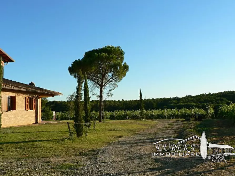 Immagine 7 di Terreno in vendita  a Castiglione Del Lago