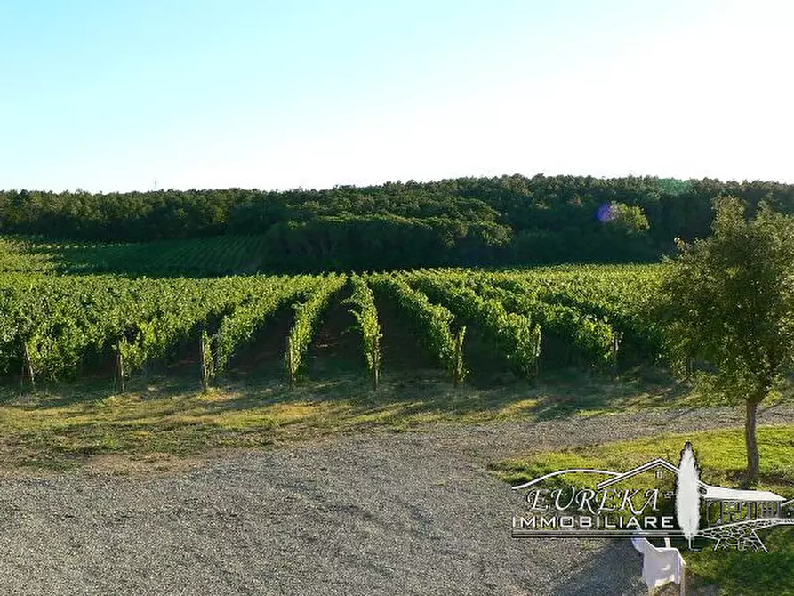 Immagine 9 di Terreno in vendita  a Castiglione Del Lago