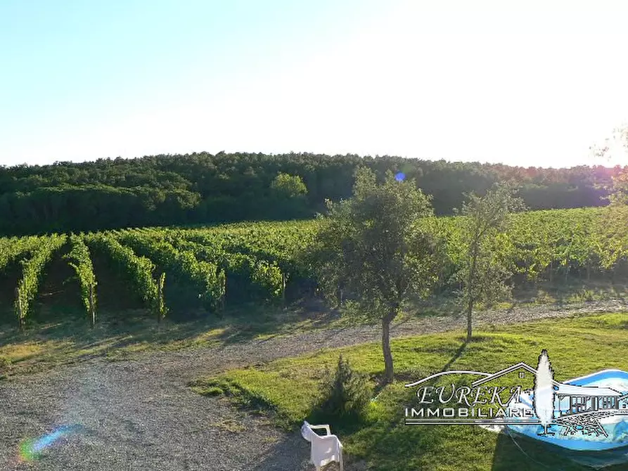 Immagine 10 di Terreno in vendita  a Castiglione Del Lago