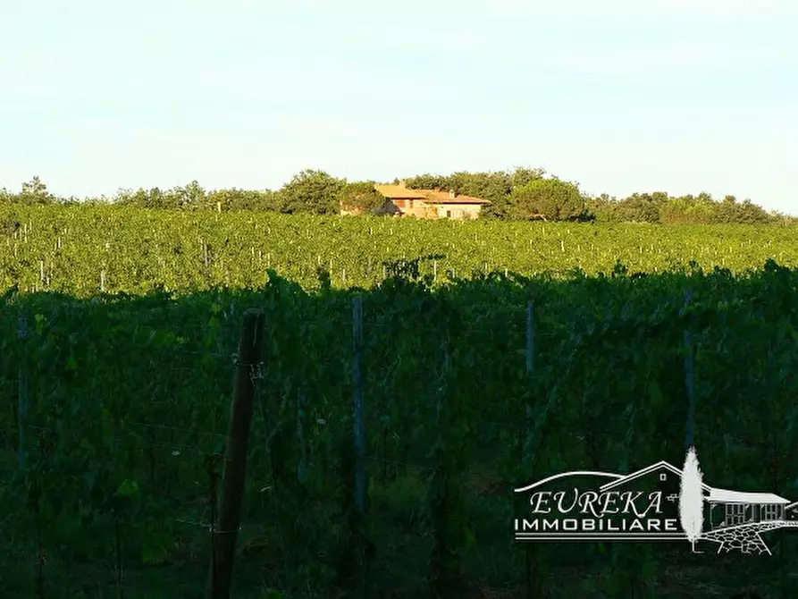 Immagine 12 di Terreno in vendita  a Castiglione Del Lago