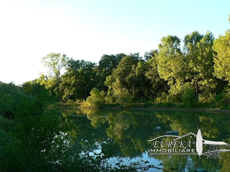 Immagine 14 di Terreno in vendita  a Castiglione Del Lago