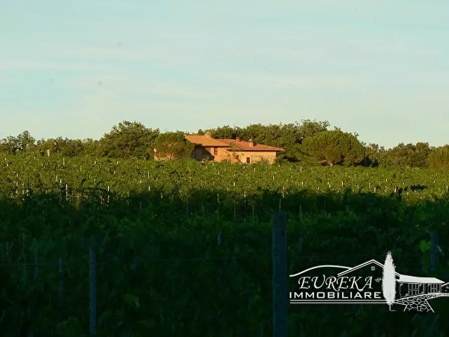Immagine 15 di Terreno in vendita  a Castiglione Del Lago