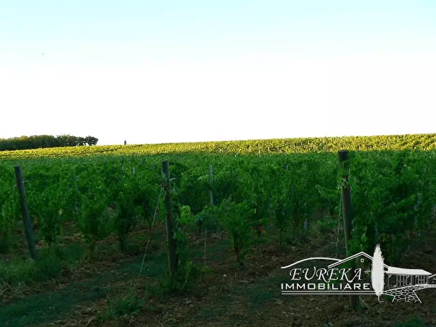 Immagine 16 di Terreno in vendita  a Castiglione Del Lago