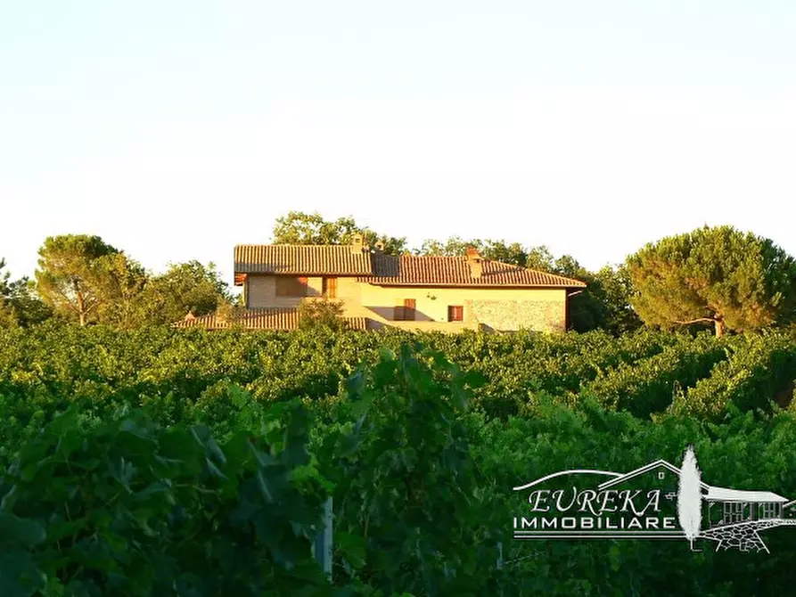 Immagine 17 di Terreno in vendita  a Castiglione Del Lago