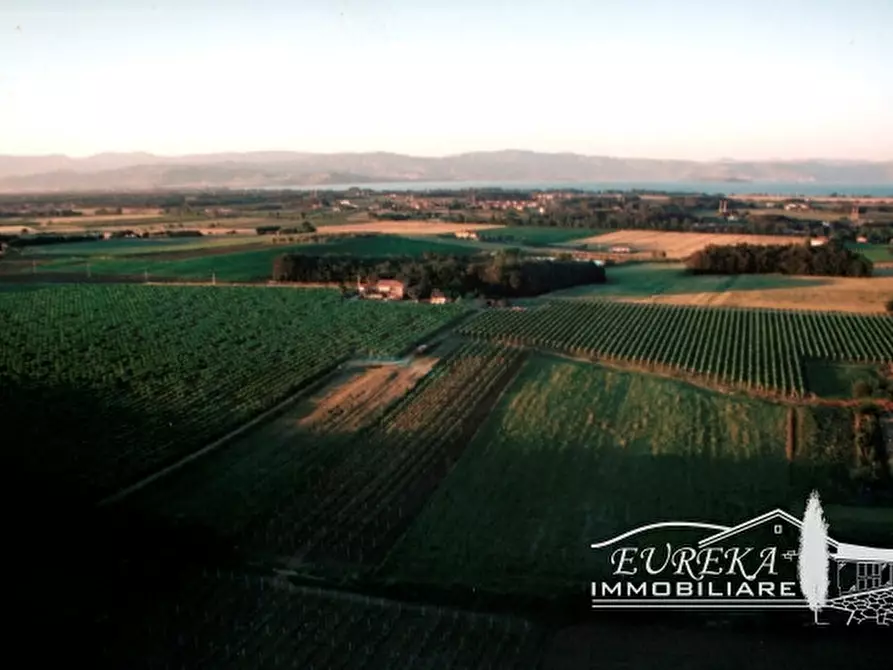 Immagine 19 di Terreno in vendita  a Castiglione Del Lago