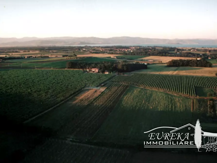 Immagine 20 di Terreno in vendita  a Castiglione Del Lago