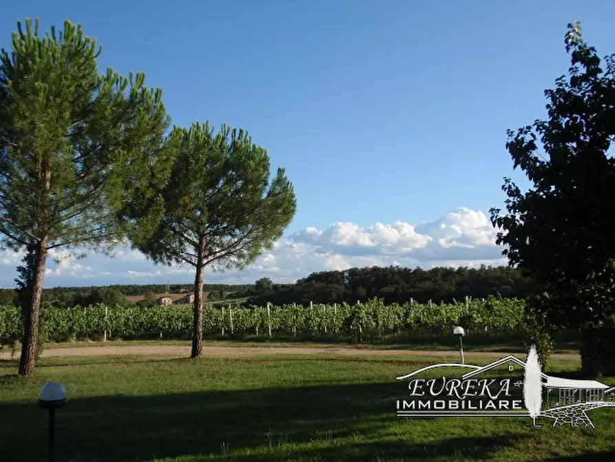 Immagine 23 di Terreno in vendita  a Castiglione Del Lago