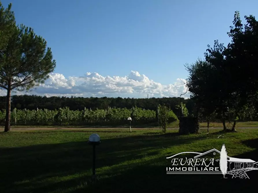 Immagine 24 di Terreno in vendita  a Castiglione Del Lago