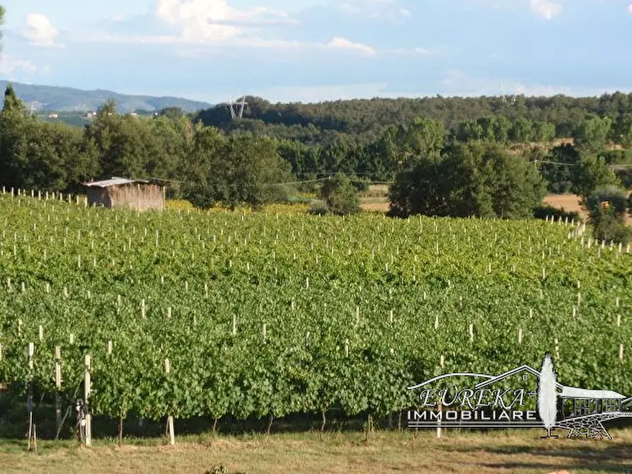 Immagine 27 di Terreno in vendita  a Castiglione Del Lago