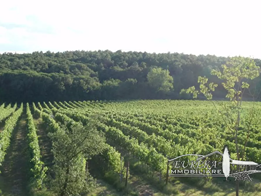 Immagine 29 di Terreno in vendita  a Castiglione Del Lago